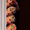 Img 7142bis